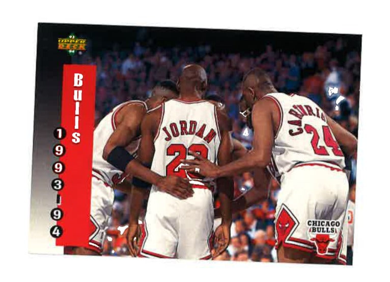 1993-94 Upper Deck #213 Chicago Bulls